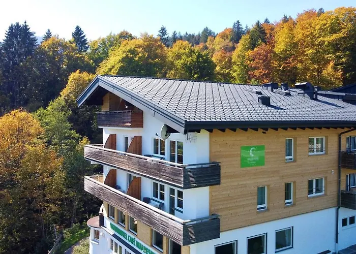 Hotel Naturhotel Cafe Waldesruhe 4*