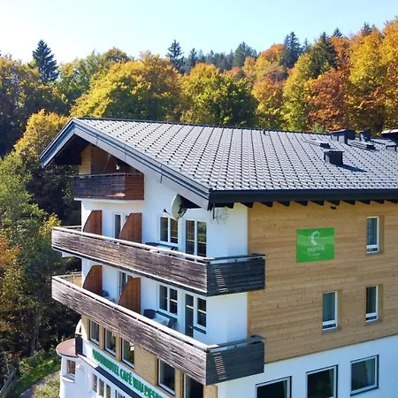 호텔 Naturhotel Cafe Waldesruhe 4*