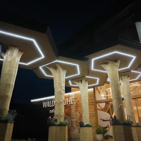 Naturhotel Cafe Waldesruhe מלון 4*